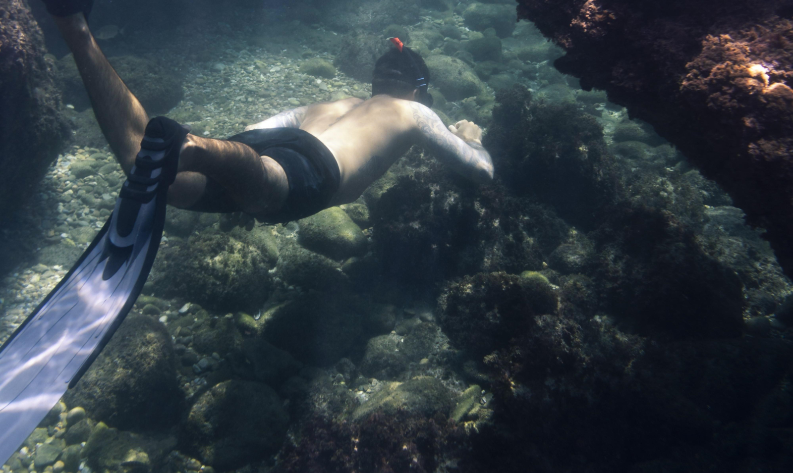 lake macquarie skin diving