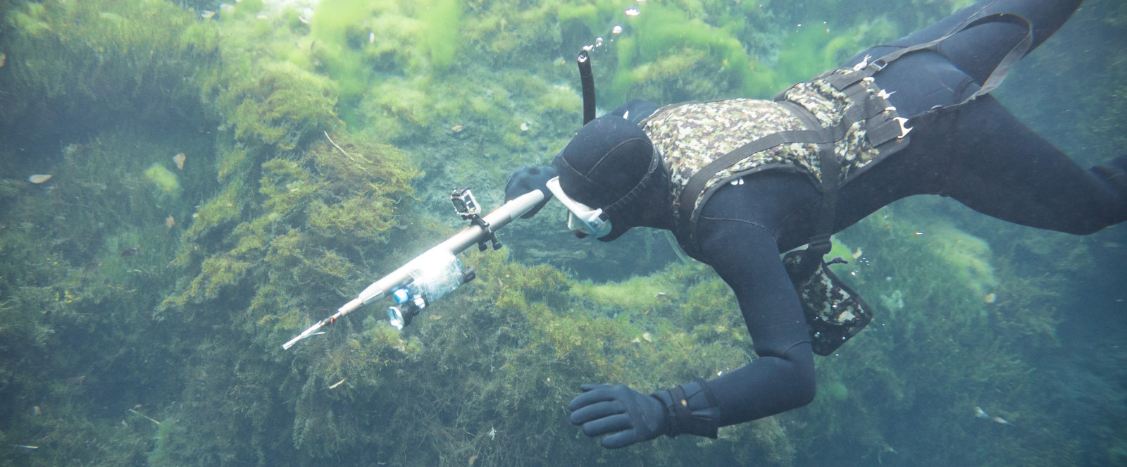 Spearfishing In Lake Macquarie